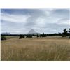 Image 1 : Mountain View Lot in the Crowsnest Pass on Hwy 3