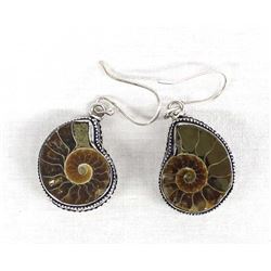 Ammonite Fossils in Sterling Silver Earrings