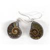 Image 1 : Ammonite Fossils in Sterling Silver Earrings