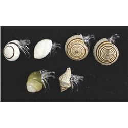 Natural Seashells with Hand Blown Glass Hermit Crabs