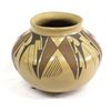 Image 1 : Traditional Mata Ortiz Polychrome Pottery Jar