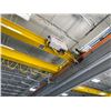 Image 5 : *New 2019*  20 Ton Double Girder Crane System