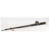 Image 2 : Daiwa and Berkley Fishing Rods