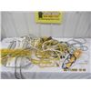 Image 1 : Electric Cords, Power Bars, Trouble Lights
