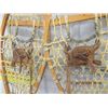 Image 2 : 2 Sets Snow Shoes