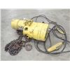 Image 2 : Budgit 1 Ton Chain Hoist, M/N: BEH0116