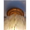 Image 4 : Hanging pooka shell lamp