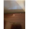 Image 6 : Filing cabinet C