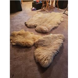 Sheepskin rugs