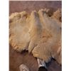 Image 2 : Sheepskin rugs