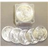 Image 1 : Roll of 1923 UNC Peace Dollars