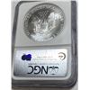 Image 2 : 2006 1st Strikes Gem Unc. NGC Silver Eagle