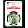 Image 1 : 1922 MS 63 NGC Slab Peace Dollar