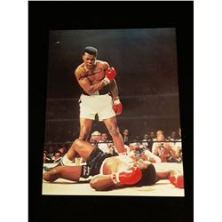Muhammad Ali Autograph 8x10 Photo W/COA