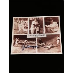 Joe Dimaggio Autograph 8x10 Photo W/COA