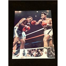 Joe Frazier Muhammad Ali  Autograph 8x10 W/COA