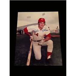 Pete Rose  Autograph 8x10 W/COA