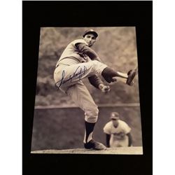 Sandy Koufax  Autograph 8x10 W/COA