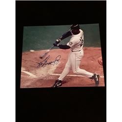 Ken Griffey Jr  Autograph 8x10 W/COA