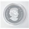 Image 3 : 5 Oz. Canada 2014 .9999 Silver $50 Coin