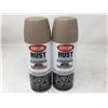 Image 1 : Krylon Rust Protector Textured Finish (2)