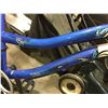 Image 2 : TechTeam Empress Youth Bike