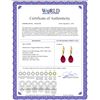 Image 2 : Genuine 10 ctw Ruby Earrings 14KT Yellow Gold - REF-81F2Z