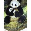 Image 1 : The Panda Plate  First Issue Endangered #979751