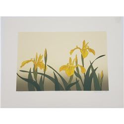 1984 Vintage 'Yellow Irises' Serigraph By An Canadian Unknown Artist