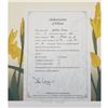 Image 4 : 1984 Vintage 'Yellow Irises' Serigraph By An Canadian Unknown Artist