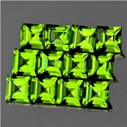 Natural Green Peridot 12 Pcs {Flawless-VVS1}