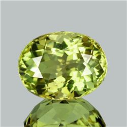 Natural Canary Yellow Tourmaline  Flawless