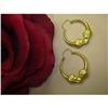 Image 1 : 18K GOLD HOOP EARRINGS FEATURING 2 LIONS #979941