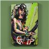 Image 2 : Eddie Van Halen (Eddie) by Garibaldi, David