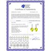 Image 2 : Genuine 21.65 ctw Lemon Quartz & Diamond Earrings 14KT White Gold - REF-52H9X