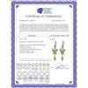 Image 2 : Genuine 2.74 ctw Peridot Earrings 14KT White Gold - REF-42M6T
