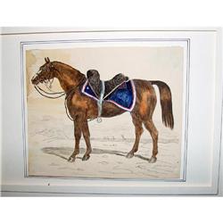 Calvary Horse, Watercolor #982570