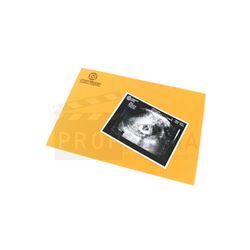 Once Upon a Time - Belle's Ultrasound Prop (1780)