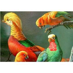 STRIKING EXOTIC BIRD AND PARROT OIL PAINTING #981411