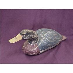 Decoy Duck  #987744
