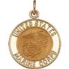 Image 1 : Gold Pendant UNITED STATES MARINE CORPS #987916