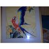 Image 1 : Iva Malkemus  Watercolor  Parrot  in Tree #988276