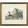 Image 1 : J.J. Audubon, ?Mallard Duck?, wildlife, Print, #998084