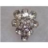 Image 1 : Kramer of New York Fur Clip Rhinestones #1021907