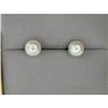 Image 1 : 14k CULTURED PEARL Earrings  #1023063