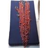Image 1 : 21) RED GLASS BEAD 15 STRAND STATEMENT