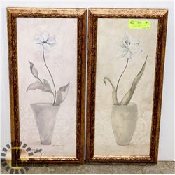 2 FRAMED PICTURES BY CAROL ROBINSON 21" X 10"