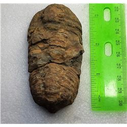 19)  MILLIONS OF YEARS OLD NATURAL