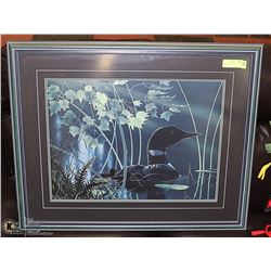 FRAMED PICTURE OF A  LOON IN WATER 32" X 26"