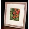 Image 1 : Original Carol Cutts Botanicals Watercolor  #994068
